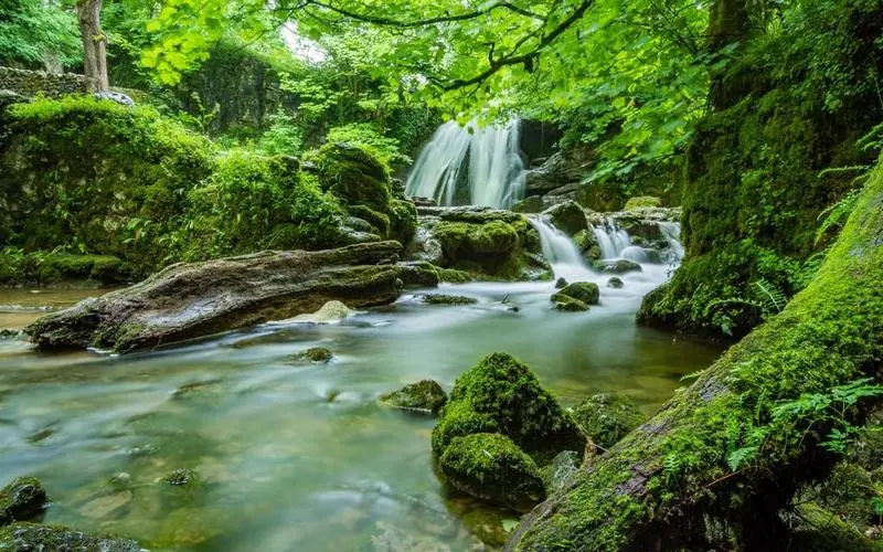 高端稳定性智慧制造